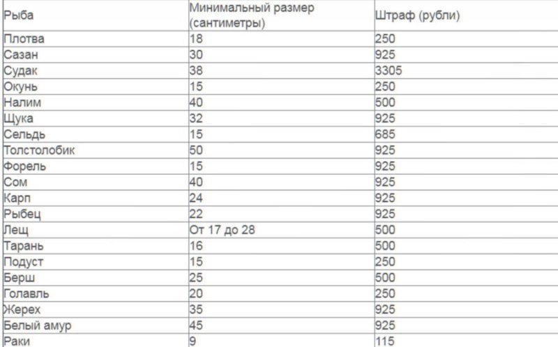 Нерестовый запрет в Московской области в 2023 году