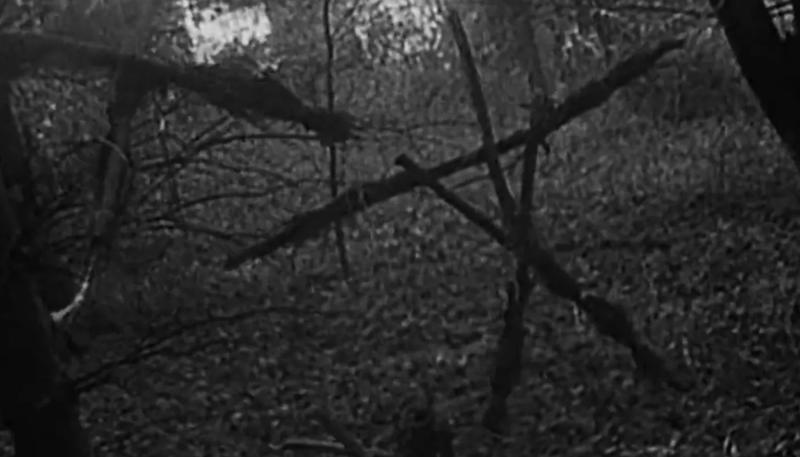 Назван режиссер новой версии фильма ужасов «Ведьма из Блэр»